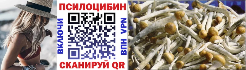 Псилоцибиновые грибы прущие грибы  что такое наркотик  Мурино 