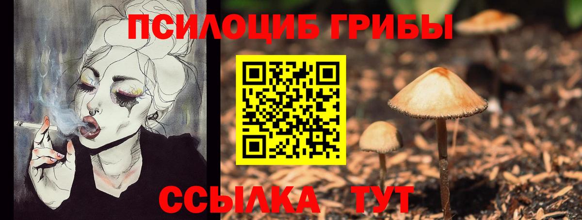 Галлюциногенные грибы GOLDEN TEACHER Мурино
